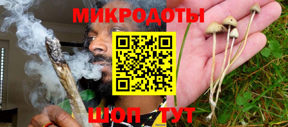 Галлюциногенные грибы мухоморы Кольчугино